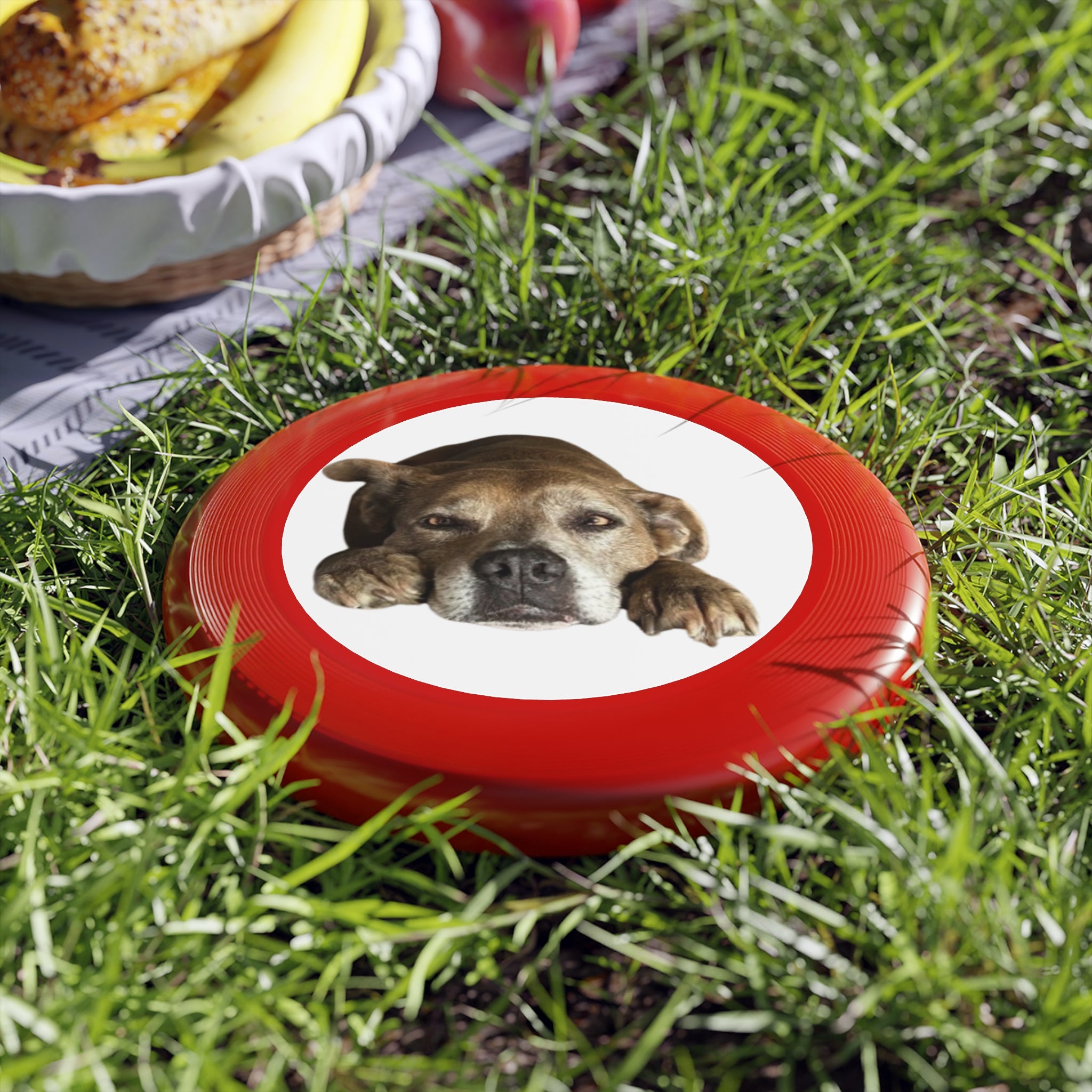 Dog Peek Frisbee — Cute Peeking Dog Disc for Outdoor Play