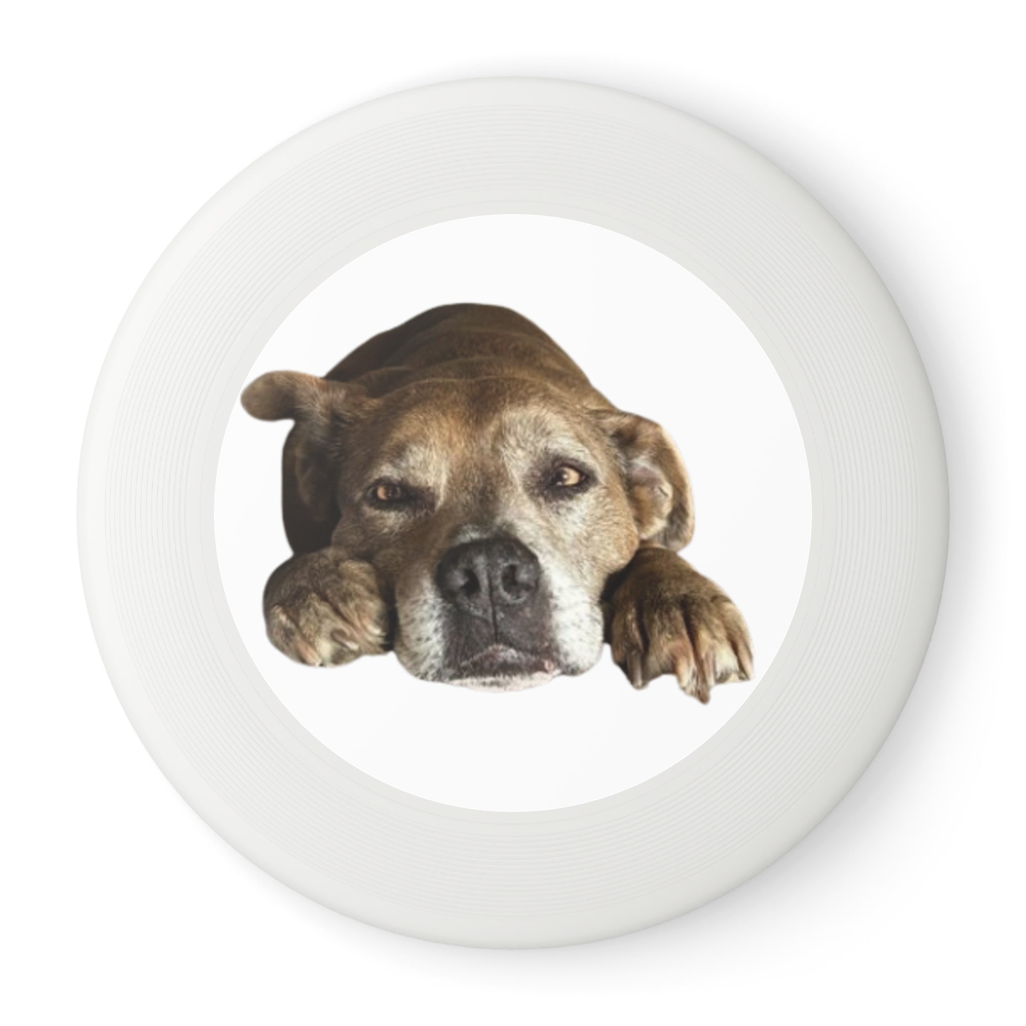 Dog Peek Frisbee — Cute Peeking Dog Disc for Outdoor Play