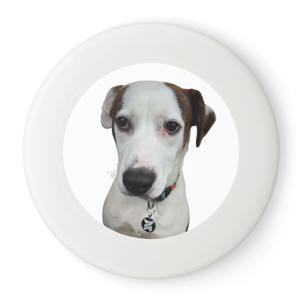 Whimsical Dog Nose Frisbee — Cute Pet Face Flying Disc for Outdoor Play