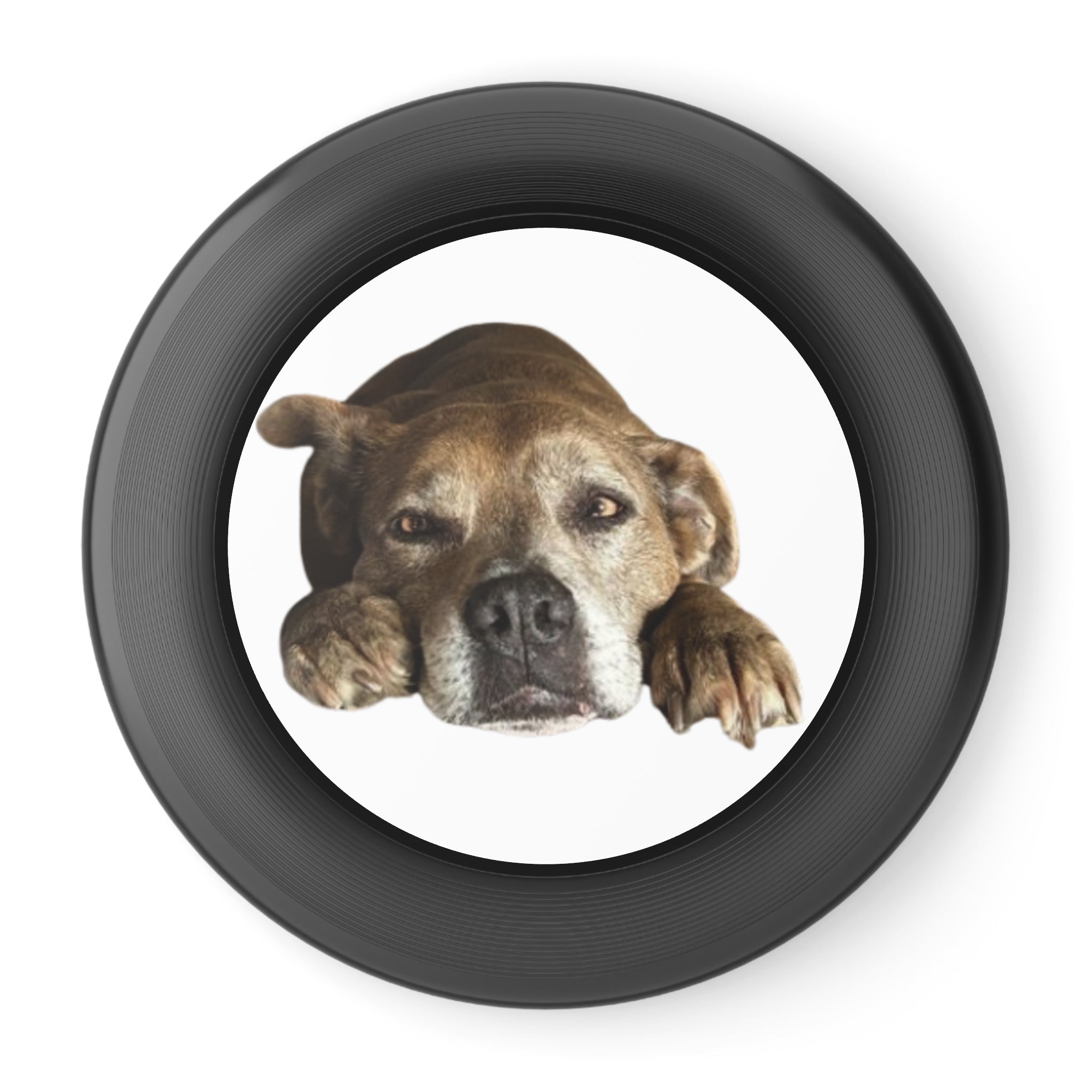 Dog Peek Frisbee — Cute Peeking Dog Disc for Outdoor Play