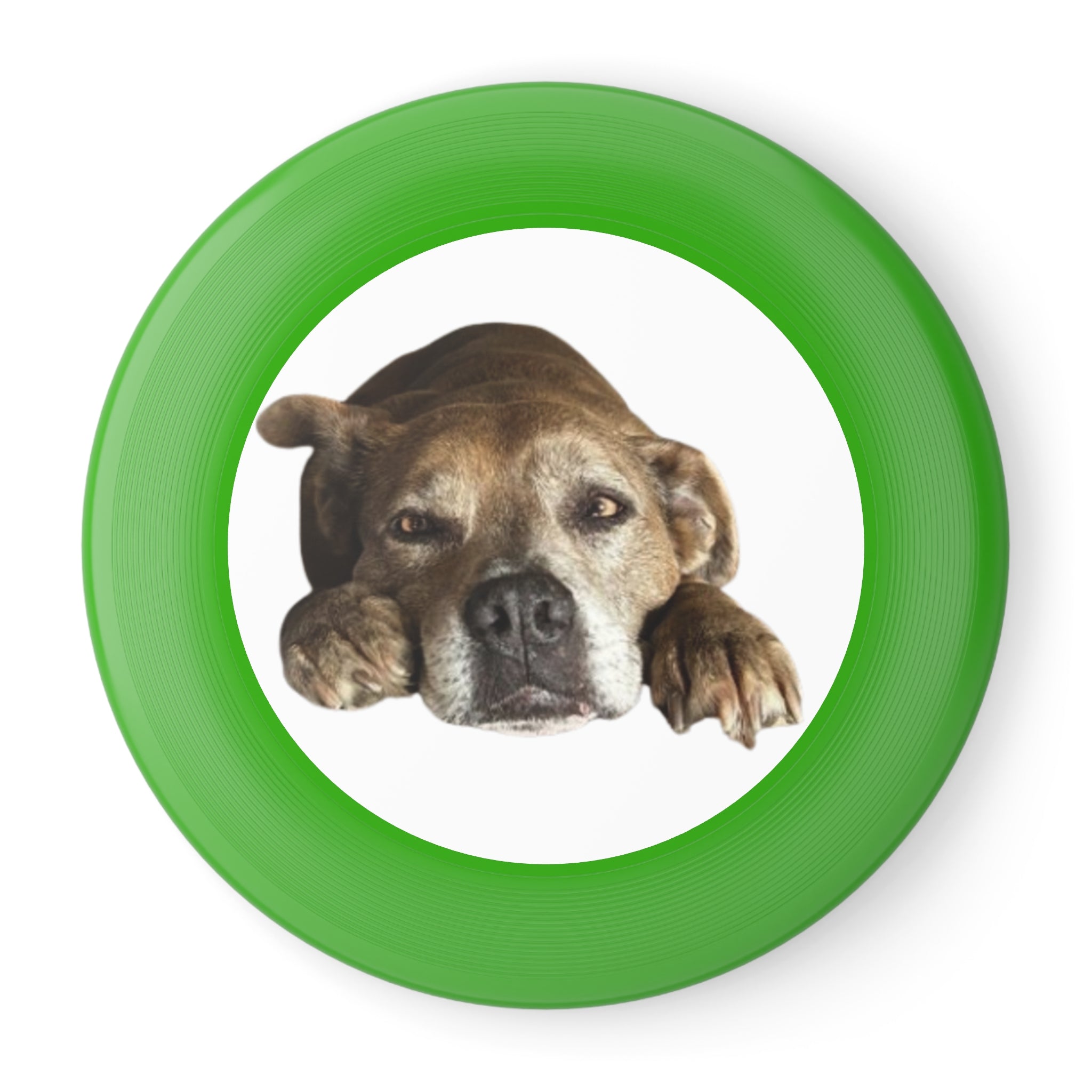 Dog Peek Frisbee — Cute Peeking Dog Disc for Outdoor Play