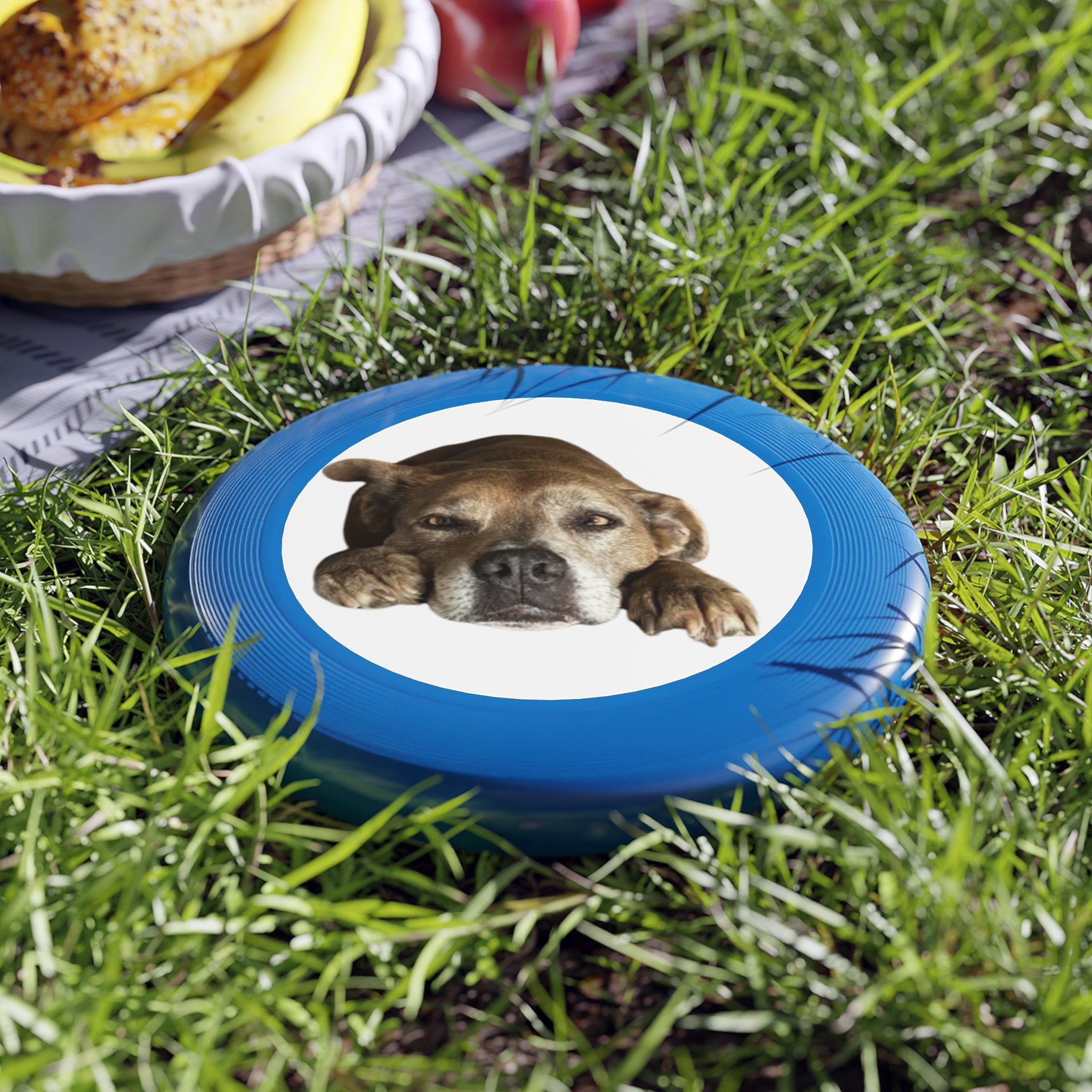 Dog Peek Frisbee — Cute Peeking Dog Disc for Outdoor Play