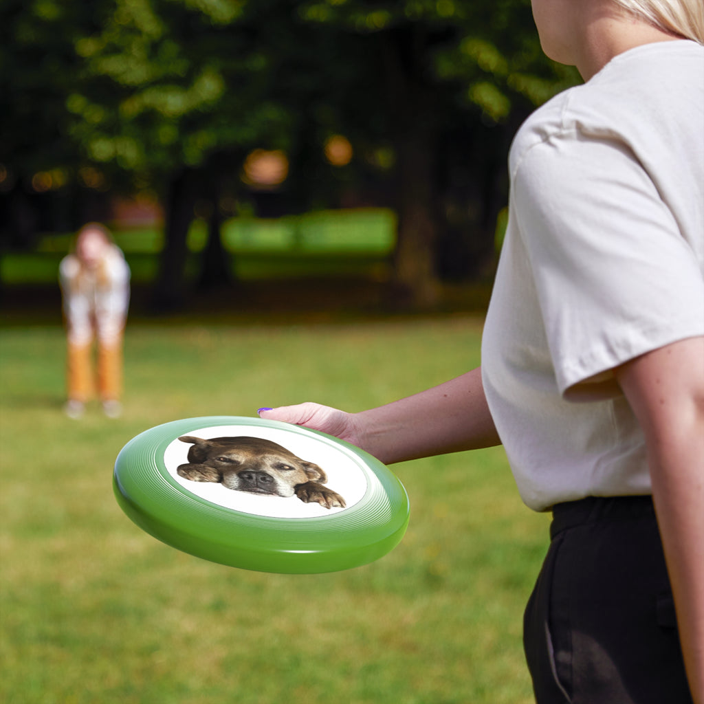 Dog Peek Frisbee — Cute Peeking Dog Disc for Outdoor Play
