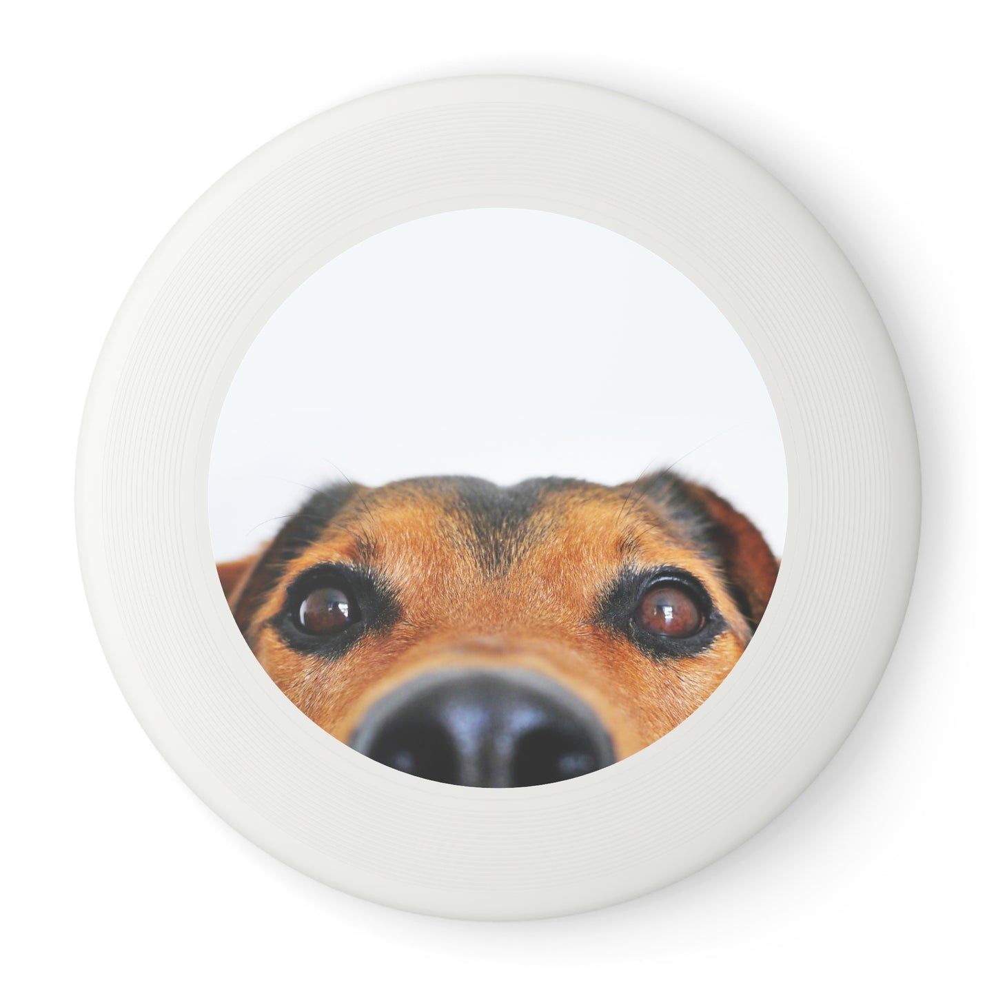 Whimsical Dog Nose Frisbee — Cute Pet Face Flying Disc for Outdoor Play