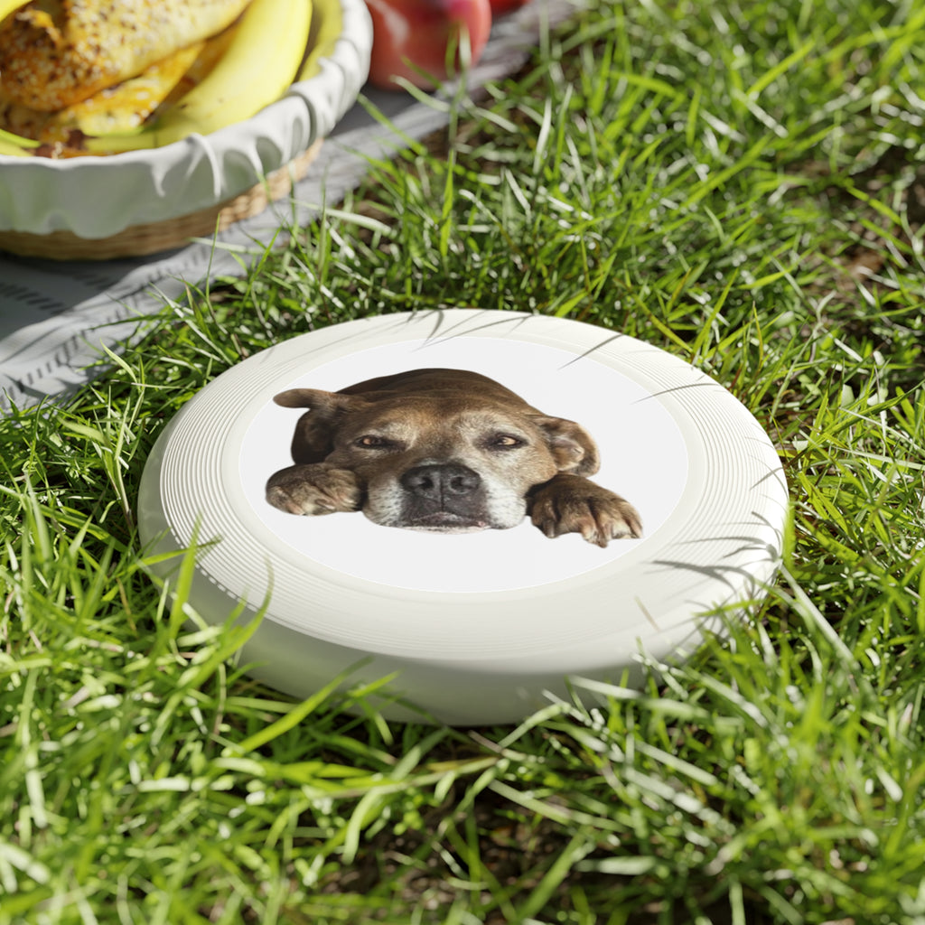 Dog Peek Frisbee — Cute Peeking Dog Disc for Outdoor Play