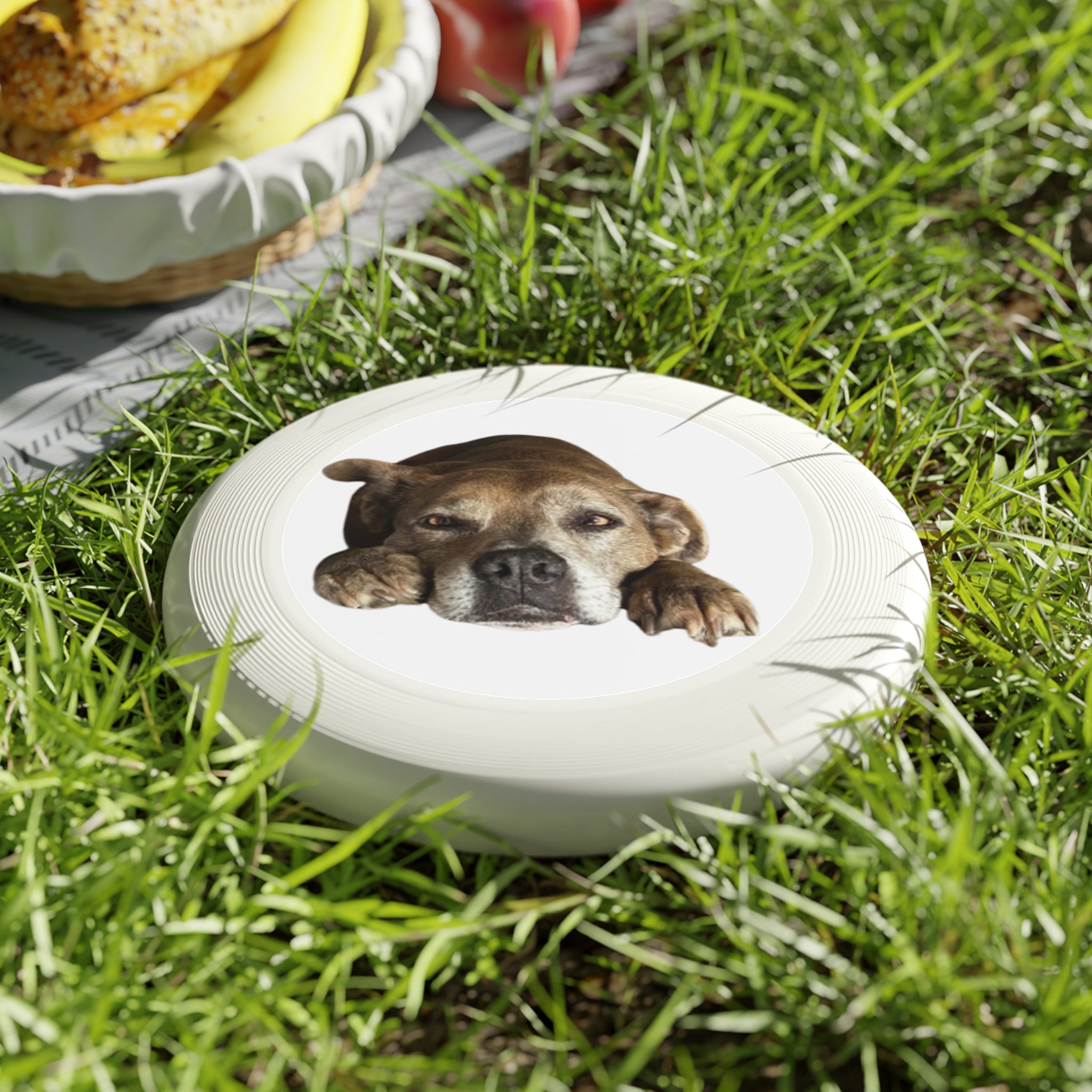 Dog Peek Frisbee — Cute Peeking Dog Disc for Outdoor Play