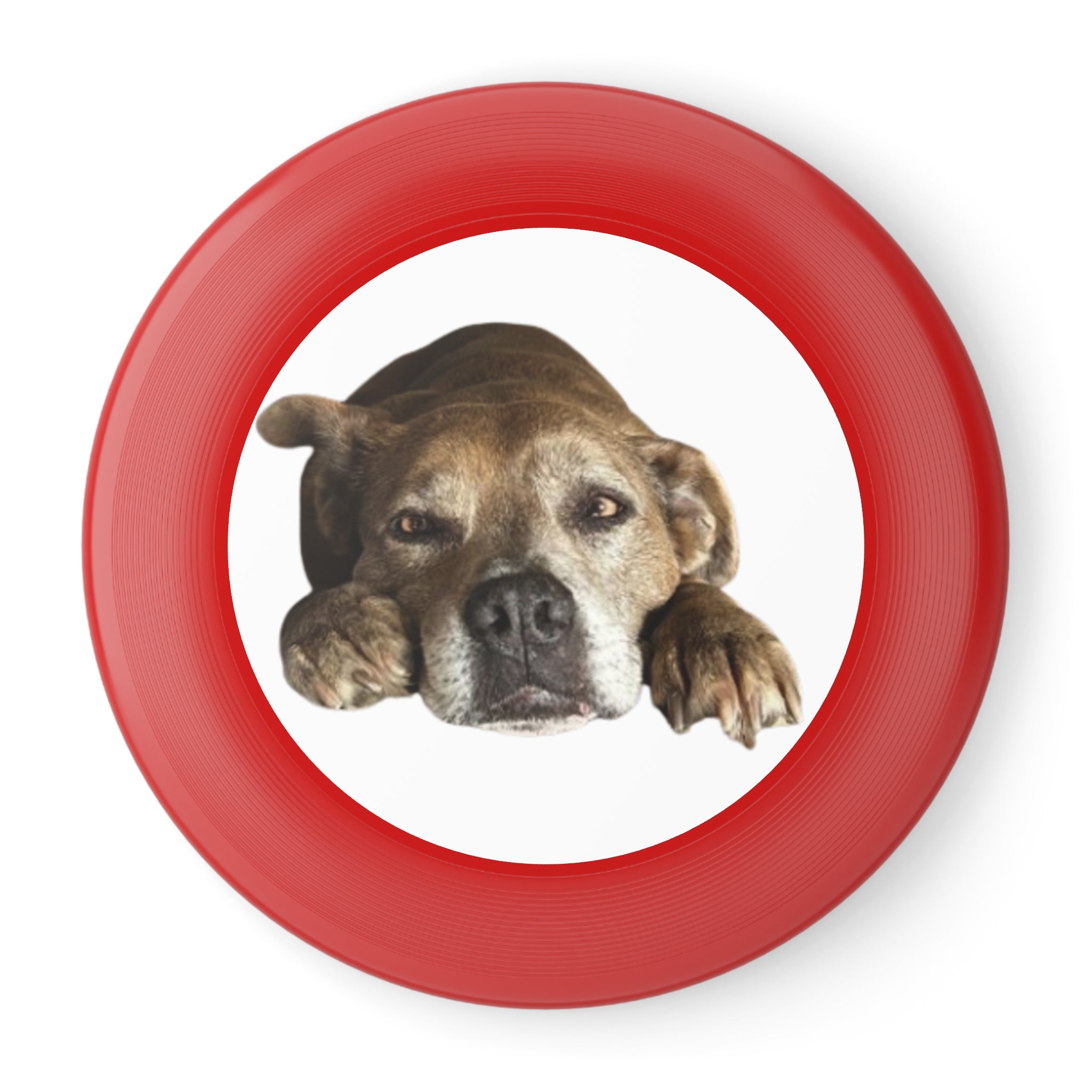 Dog Peek Frisbee — Cute Peeking Dog Disc for Outdoor Play