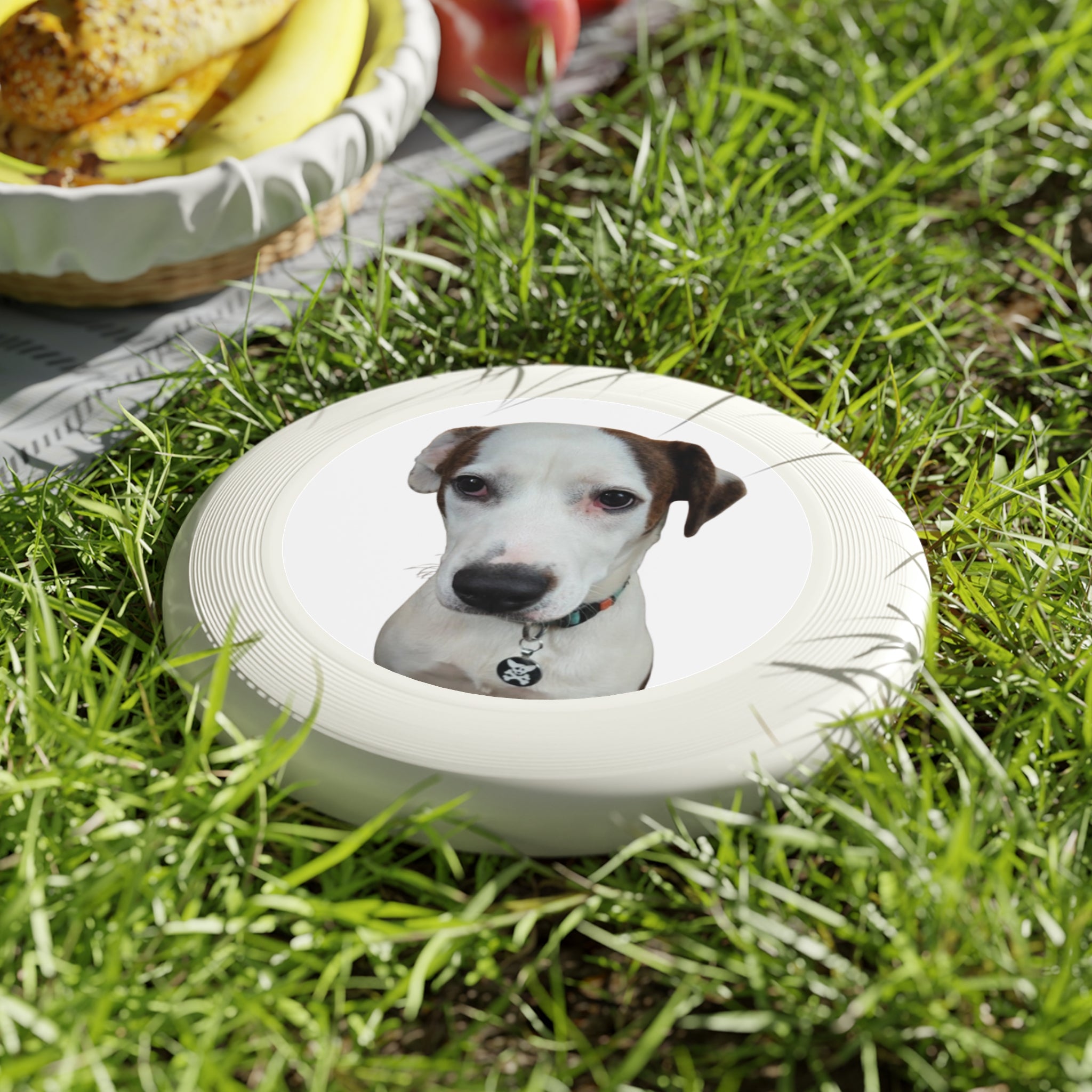 Whimsical Dog Nose Frisbee — Cute Pet Face Flying Disc for Outdoor Play