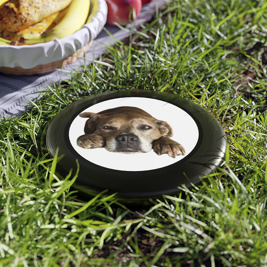 Dog Peek Frisbee — Cute Peeking Dog Disc for Outdoor Play