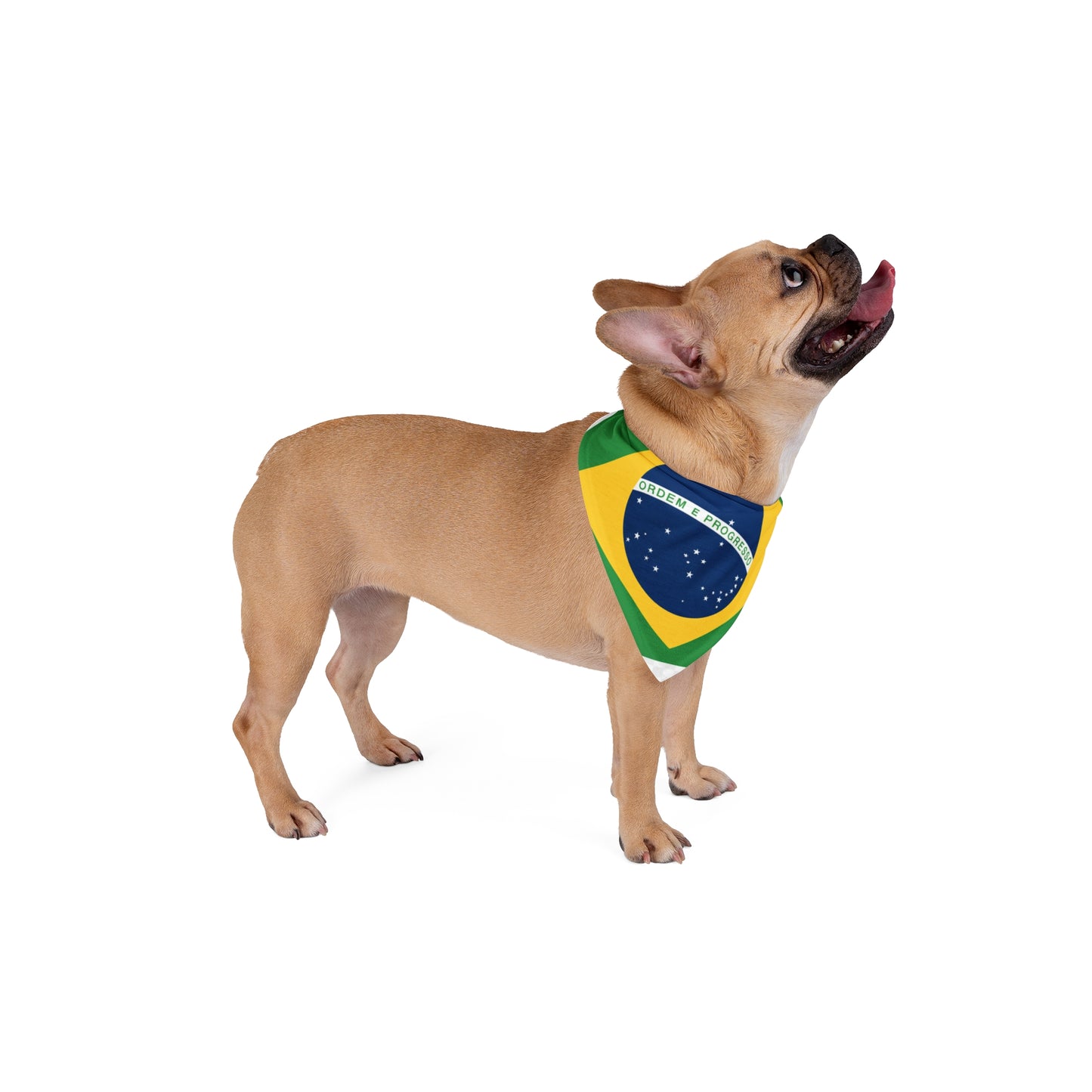 Brazil Flag Pet Bandana — Patriotic Dog & Cat Bandana with 'Ordem e Progresso' Design