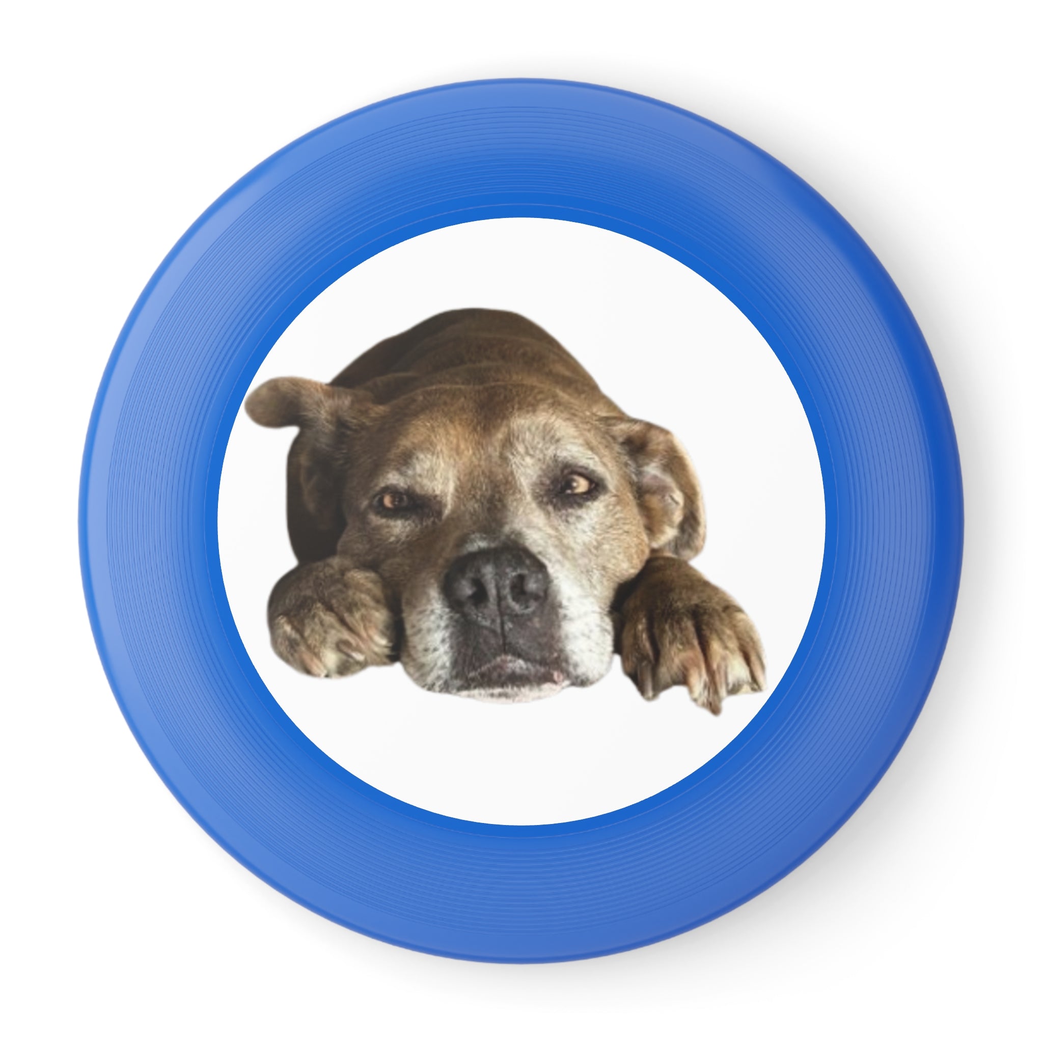 Dog Peek Frisbee — Cute Peeking Dog Disc for Outdoor Play