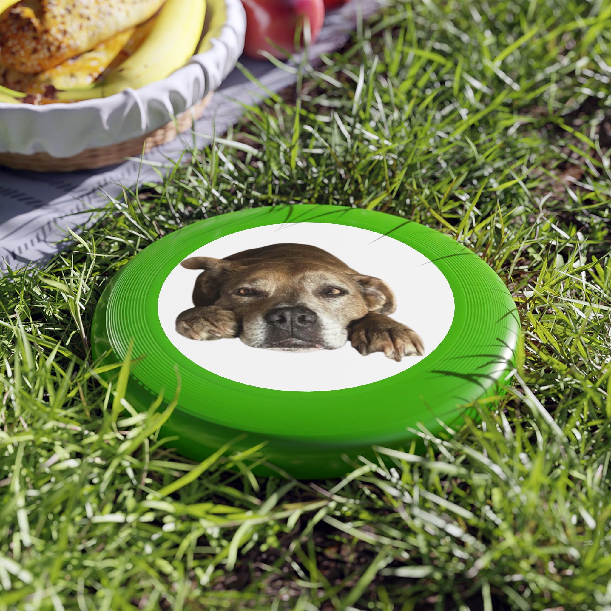 Dog Peek Frisbee — Cute Peeking Dog Disc for Outdoor Play